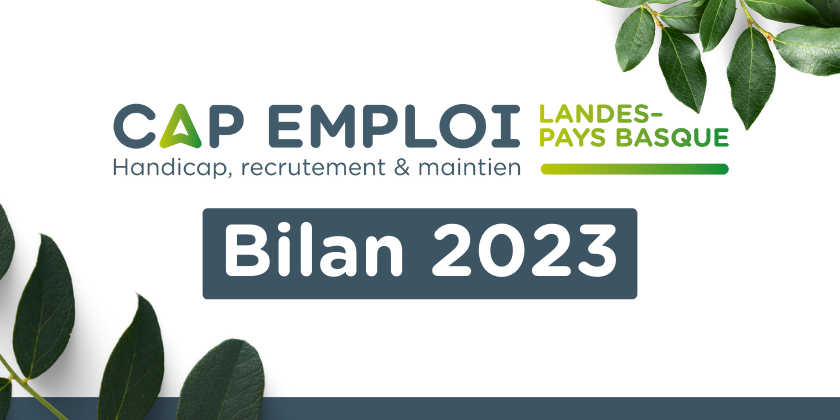 Bilan cap emploi landes pays basque handicap emploi