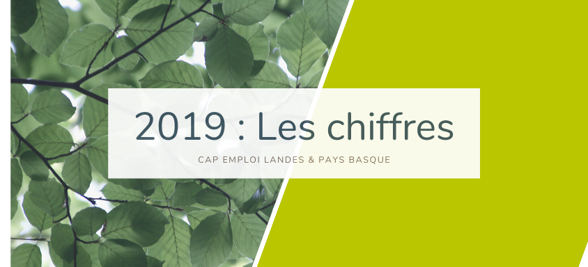 image 2019 : les chiffres